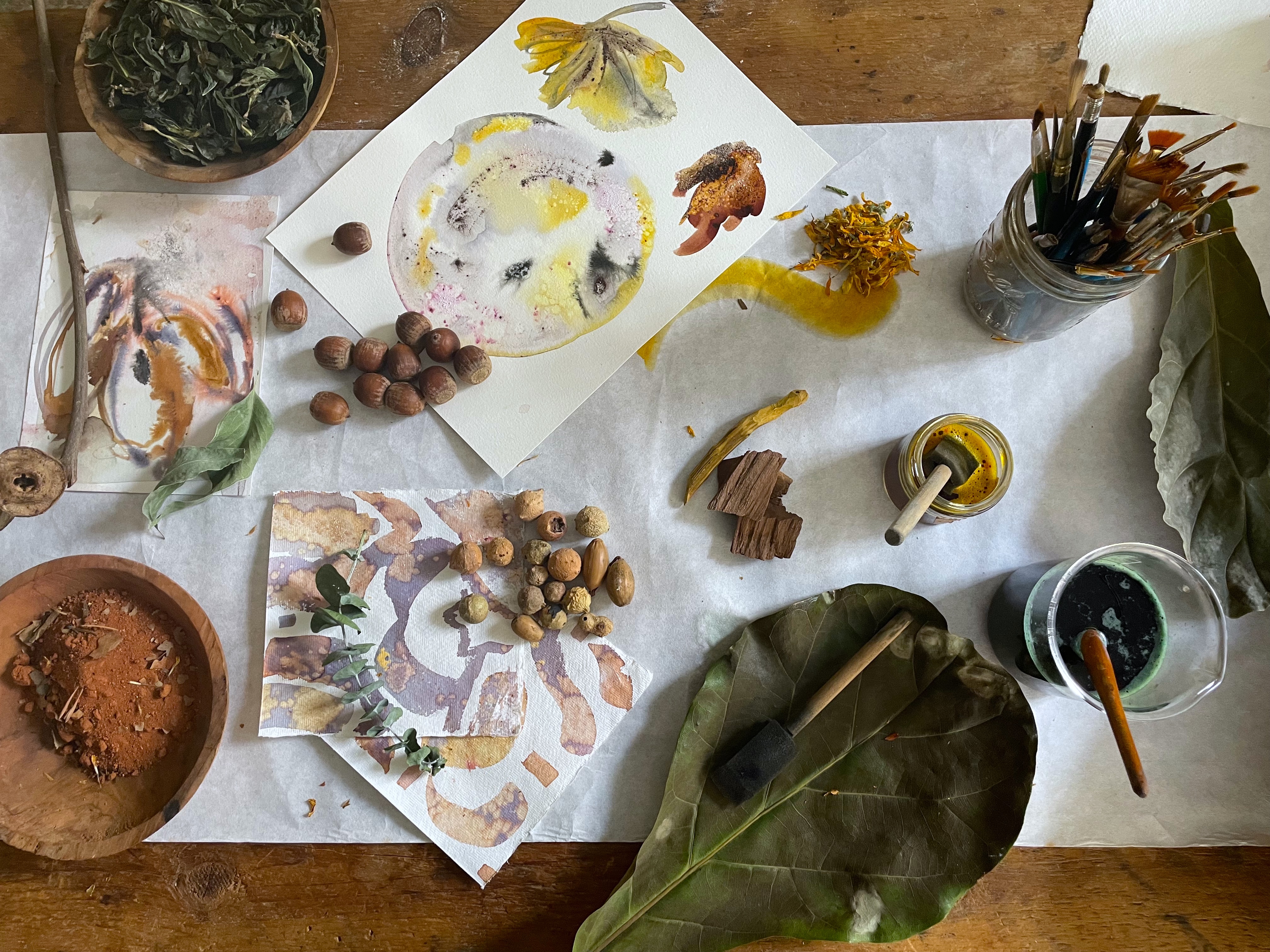 Natural Colors: Plant Rubbings and Earth Pigment Mural